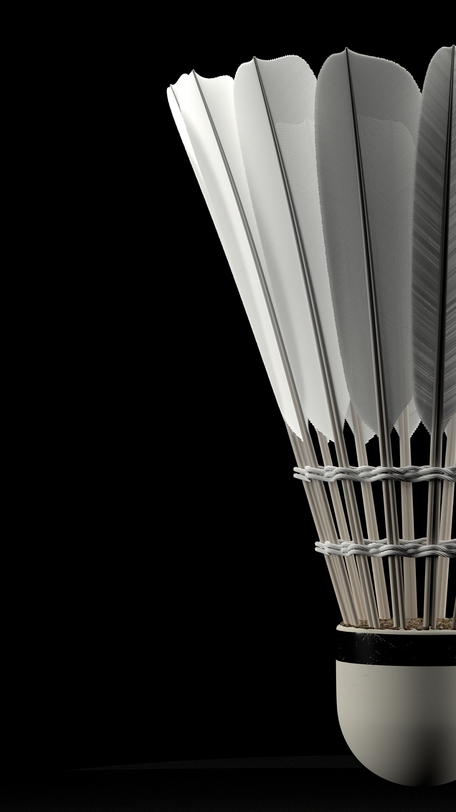 才是真实的 才是真实的